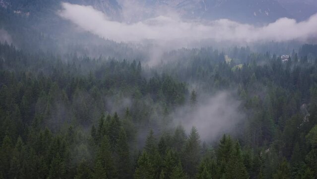 Mystical fog forest mountains dolomite rocks aerial drone cinematic footage