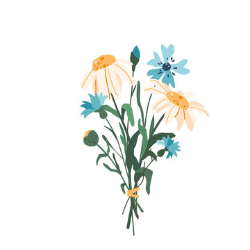 Flower bouquet with cornflower and chamomile vector illustration