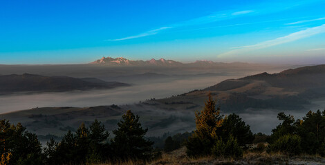 Pieniny, Tatry, Karpaty, Polska, Trzy korony, owce, redyk, 