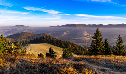 Pieniny, Tatry, Karpaty, Polska, Trzy korony, owce, redyk,  © Daniel Folek