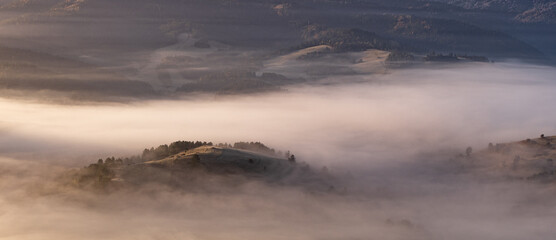 Pieniny, Tatry, Karpaty, Polska, Trzy korony, owce, redyk,  © Daniel Folek