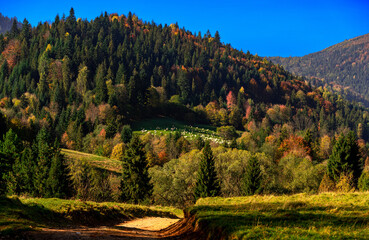 Pieniny, Tatry, Karpaty, Polska, Trzy korony, owce, redyk © Daniel Folek