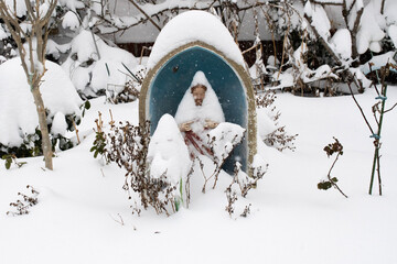 winter in the garden