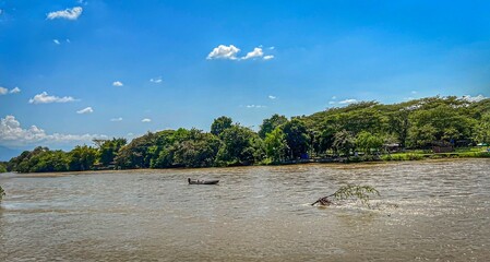 landscape with trees and lake
