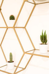 Hexagon Regal - Gold mit Kaktus