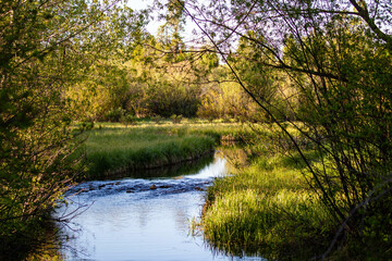 Small stream near Wilson, Wyoming in the Jackson Hole Valley