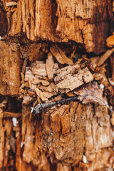 Corazón de madera
