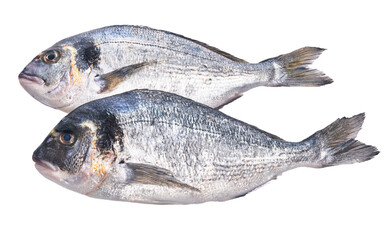  Two uncooked fishes over white isolated background