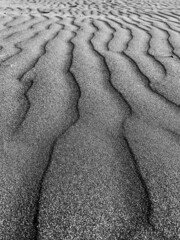 Fototapeta na wymiar black sand background. Sandpaper texture backdrop