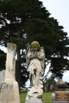 White worn and moss-covered sculpture of a child angel praying in a cemetery, with graves, trees, and a grassy area in the background