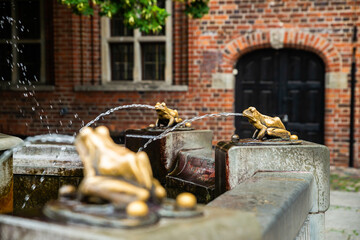 Torun, Poland - August 11, 2021. Bronze sculpture of frogs by the fountain Rafter Monument (Pomnik Flisaka) in old town