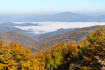 Autumn Landscape of Erul mountain near Golemi peak, Bulgaria