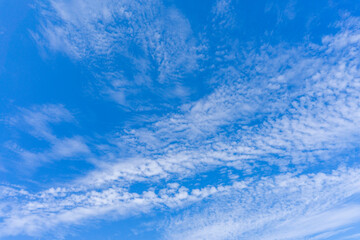 Fototapeta na wymiar Refreshing blue sky and cloud background material_c_02