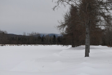 Obraz premium Scotstown 29 Janvier 2022