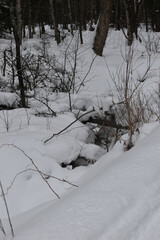 Scotstown 29 Janvier 2022