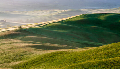 Obraz premium Tuscany spring morning. View of the sunlit hills.