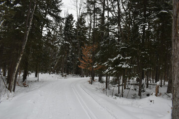 Scotstown 29 Janvier 2022