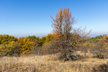 Autumn Landscape of Erul mountain near Golemi peak, Bulgaria