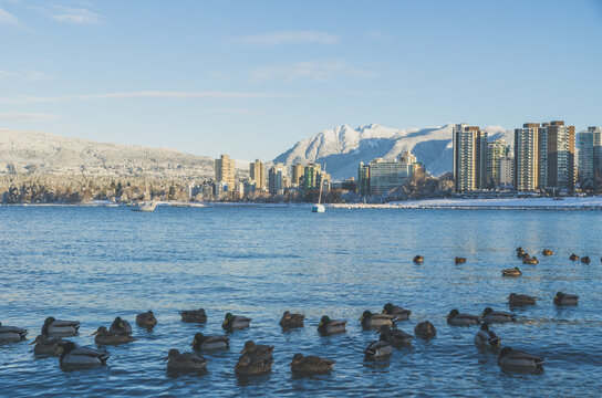 Landscape in Vancouver in Snow