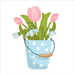 Bouquet of spring flowers white snowdrops and pink tulips in a vintage bucket. Cartoon vector graphics.