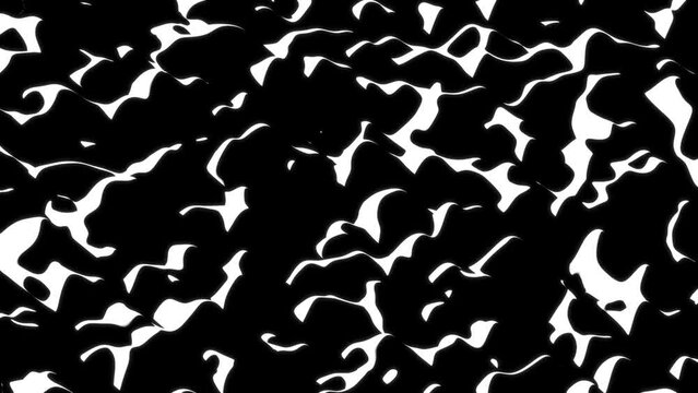 High Contrast Abstract Black and White Waves