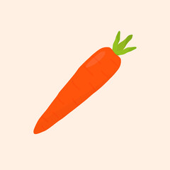 Fresh carrot vegatable vector isolated on background