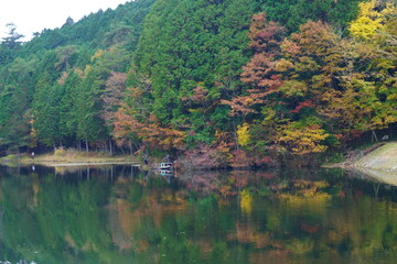 Fototapeta na wymiar どこにでもある日本の一般的な風景画像、自然イメージで。