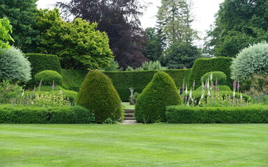 scenic view of a garden with topiary hedge and leafy trees