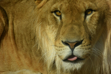 どこにでもある日本の一般的な風景画像、自然イメージで。