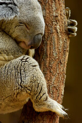 どこにでもある日本の一般的な風景画像、自然イメージで。