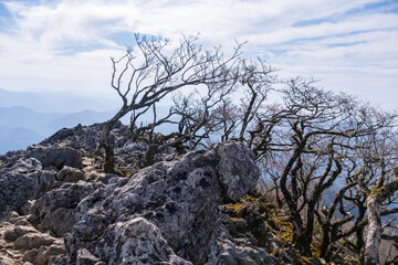 霊仙山にて近江展望台から広がる秋の風景