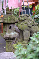 東京の日本庭園の狛犬の風景（旧安田庭園）