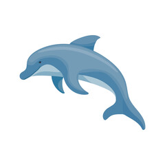 Dolphin colorful marine mammal illustration.Vector graphic.