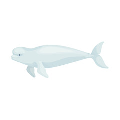 Beluga whale colorful illustration of a marine mammal of the narwhal family.Vector graphic. © Катерина Якубович