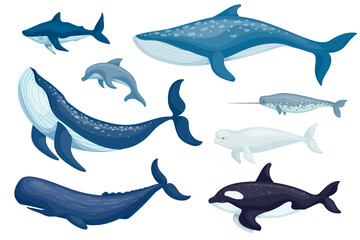 Set of marine mammals, fish. Vector graphics.