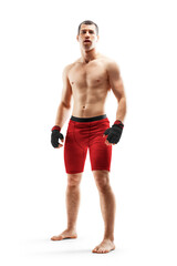 Fototapeta na wymiar Sport. MMA fighter isolated on white background. Muscular athlete. MMA