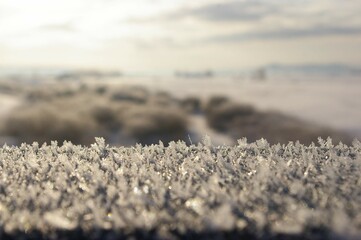 snow on the hill