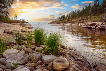 Ladoga in Karelia. Northern Russia. Rivers of Karelia. Sunset over Lake Ladoga. Northern nature...
