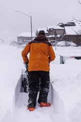 Winter Storm Clean Up