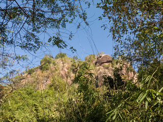 nature, trees, leaves, mountains and bright sky