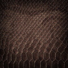 Crocodile brown leather background