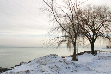 Winter Landscapes at Scarborough Bluffs Park, Ontario, Canada
