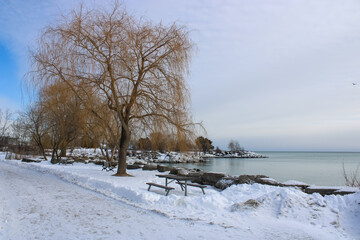 Winter Landscapes at Scarborough Bluffs Park, Ontario, Canada