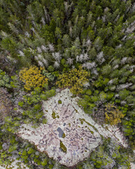 Stunning aerial view of a granite rock in the middle of a forest