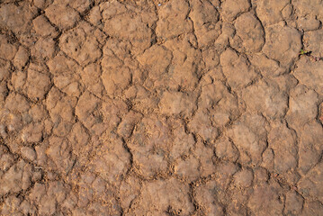 Picture of Crack Dry Earth Backgound