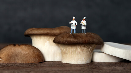 King oyster mushrooms and two miniature chefs. The concept of cooking that makes mushrooms the main...