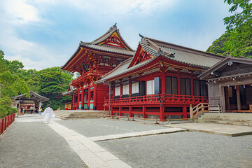 Fototapeta premium 鎌倉 鶴岡八幡宮 本宮