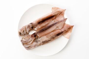 冷凍スルメイカ