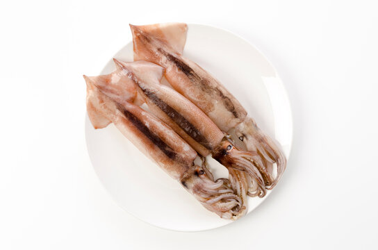 「マイカ」の画像 175 件の Stock 写真、ベクターおよびビデオ Adobe Stock