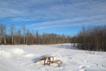 Snowy Lands, Elk Island National Park, Alberta